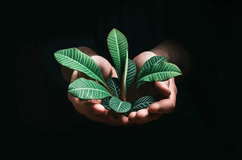 Estrategia de marketing de crecimiento sostenible